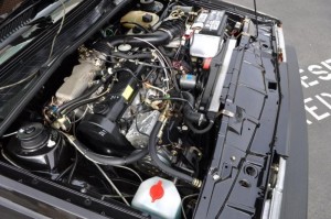 DSC_0769 DSC_0769