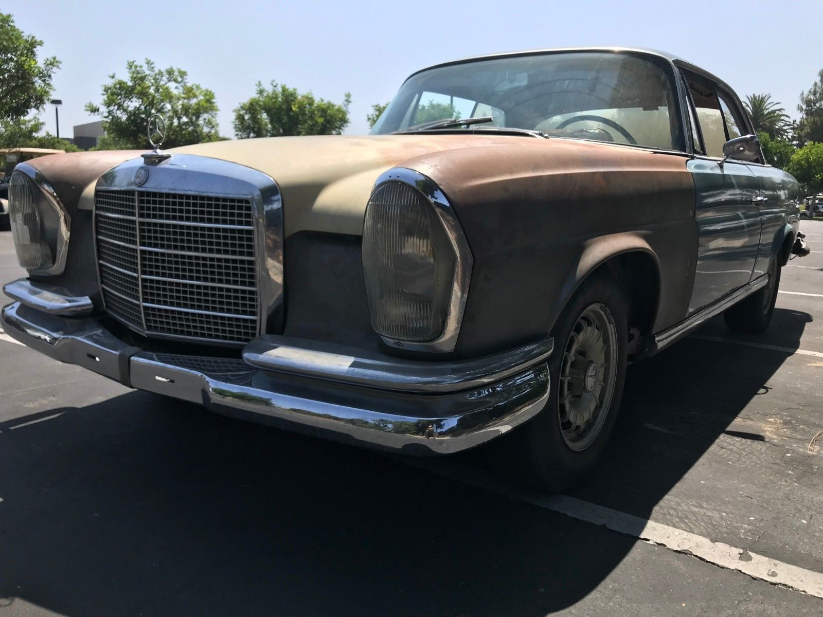 El Presidente? 1966 Mercedes-Benz 250SE Coupe – German Cars For Sale Blog